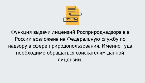 Почему нужно обратиться к нам? Нерюнгри Лицензия Росприроднадзора. Под ключ! в Нерюнгри