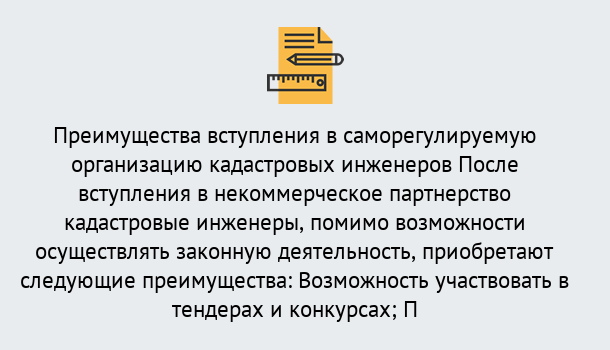 Почему нужно обратиться к нам? Нерюнгри Что дает допуск СРО кадастровых инженеров?