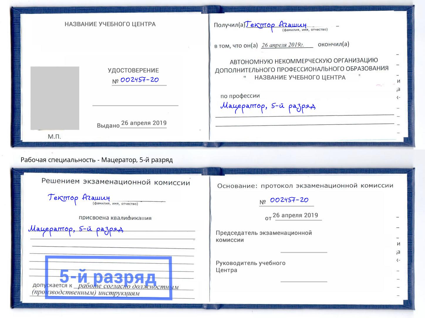 корочка 5-й разряд Мацератор Нерюнгри