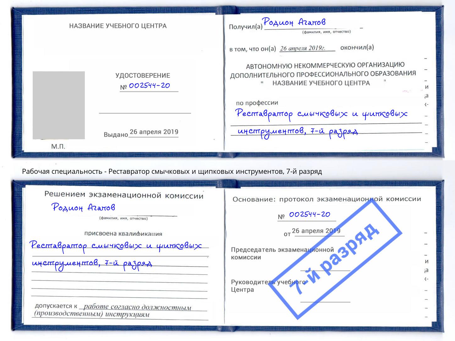 корочка 7-й разряд Реставратор смычковых и щипковых инструментов Нерюнгри