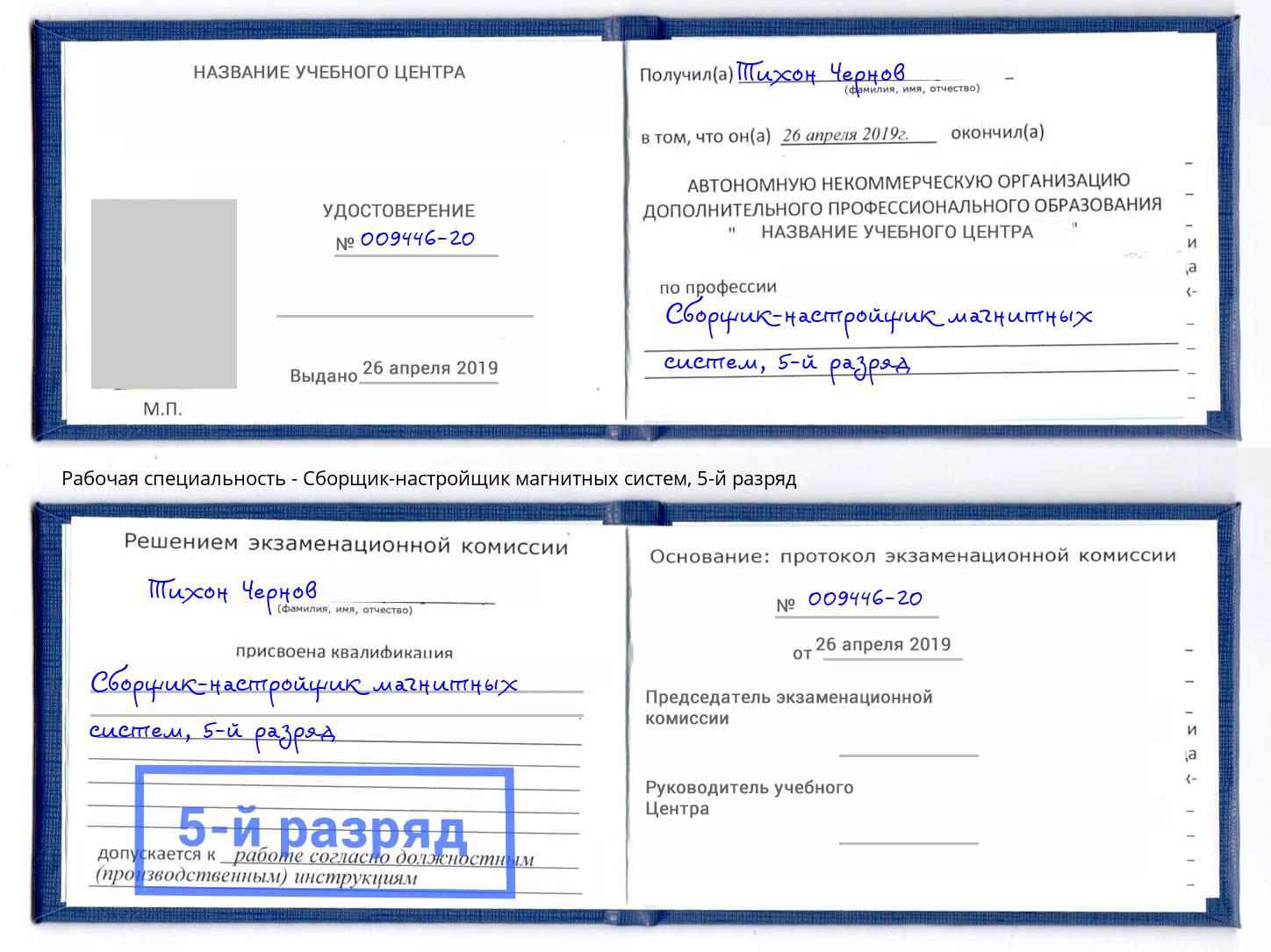 корочка 5-й разряд Сборщик-настройщик магнитных систем Нерюнгри