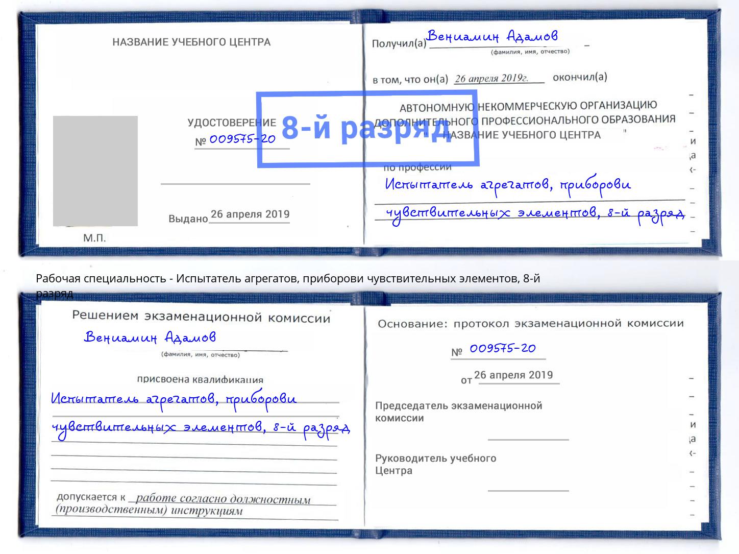 корочка 8-й разряд Испытатель агрегатов, приборови чувствительных элементов Нерюнгри